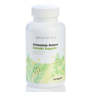 Annumisia - Artemisia Annua Extrakt Kapseln - Einjähriger Beifußextrakt