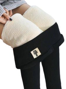 Damen Gefüttert Unterwäsche Bottoms Sport Slim Bein Leggings Dünne Einfache Basisschicht Hosen, Farbe: Kätzchen schwarz, Größe: M