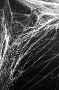 Spinnennetz in weiß Halloween
