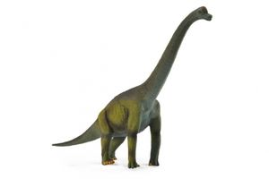 Collecta - Brachiosaurus -L- 88121 (90188121) COLECTA