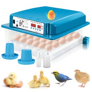TolleTour Brutmaschine Wendesystem+Temperatursteuerung Mit LED-Eierlicht mit LCD-Anzeige für Hühnergans Ente Taube Wachtel Vogel 36 Eier Grün