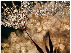 ARTland Glasbild Pusteblume Goldschimmer Größe: 60x45 cm