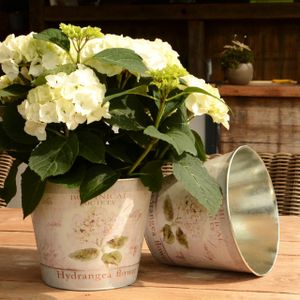 UNUS® Blumentopf 2er Set  Zink Übertopf Pflanztopf Pflanzkübel Hortensie 21cm