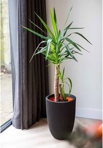 Capi Vase Groove Elegant 34x46 cm Schwarz