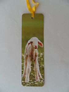 Lesezeichen Schaf,  14 x 4 cm, Buchzeichen Bookmark Bücher Buch Tier Schäfchen Lamm