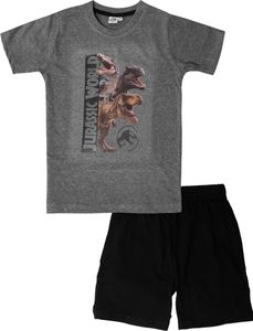 Jurassic World Schlafanzug für Jungen - Kinder Pyjama Set Kurzarm Oberteil mit Hose Grau/Schwarz 110-116 Jurassic World Schlafanzug für Jungen - Kinder Pyjama Set Kurzarm Oberteil mit Hose Grau/Schwarz 110-116