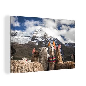 OneMillionCanvasses® Malba na plátně Nástěnná malba na plátně - Lamy v Peru - 60x40cm