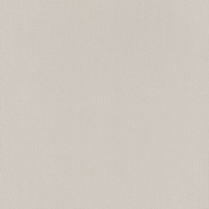 Rasch Vliestapete 415360 home Style uni beige 10,05 x 0,53 m Rasch Vliestapete 415360 home Style uni beige 10,05 x 0,53 m