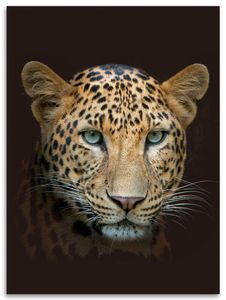 Digital bedruckte Wohndecken Leopard