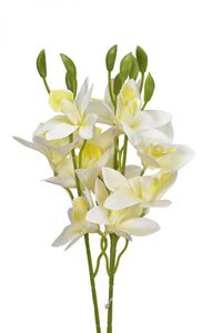 Umělá orchidej bílá 39 cm, svazek 3 ks