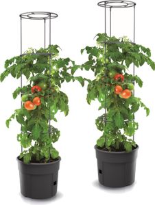 2x kvetináč fazuľa paradajky jahody uhorky 39,2 cm