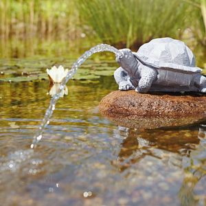 Oase Wasserspeier Schildkröte