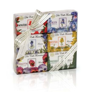 Nesti Dante Seifen Geschenk-Set Dei Colli Fiorentini (6x 150g)