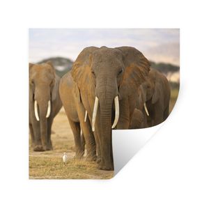 Wandtattoo Elefant günstig online kaufen