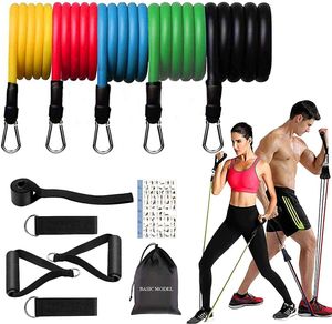 Pourex Widerstandsbänder Fitness Resistance Bands Set - 11-teiliges Übungsband Kitfür Krafttraining, Physiotherapie, Heim-Gyms, Yoga