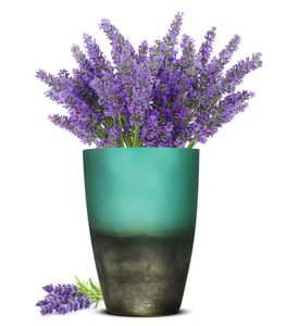 Blumenvase Oxi Tischvase Glasvase Dekovase Vase Blumentopf  Pflanztopf (Blau)
