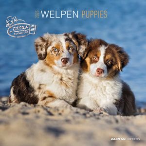 Welpen 2025 - Broschürenkalender 30x30 cm (30x60 geöffnet) - Kalender mit Platz für Notizen - Puppies - Hundekalender - Bildkalender - Wandkalender Welpen 2025 - Broschürenkalender 30x30 cm (30x60 geöffnet) - Kalender mit Platz für Notizen - Puppies - Hundekalender - Bildkalender - Wandkalender