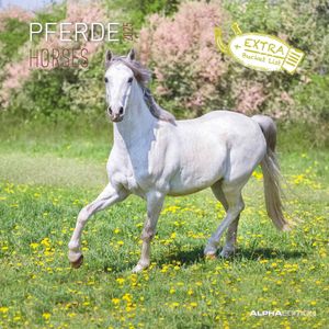 Pferde 2025 - Broschürenkalender 30x30 cm (30x60 geöffnet) - Kalender mit Platz für Notizen - Horses - Bildkalender - Wandplaner - Pferdekalender Pferde 2025 - Broschürenkalender 30x30 cm (30x60 geöffnet) - Kalender mit Platz für Notizen - Horses - Bildkalender - Wandplaner - Pferdekalender