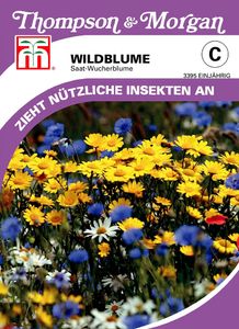 Wildblume Saat-Wucherblume | Wildblumensamen von Thompson & Morgan