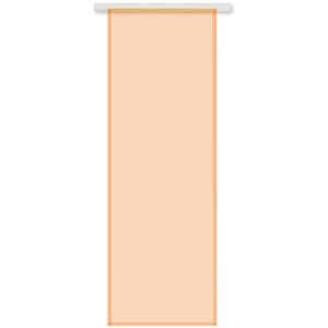 Flächenvorhang Noella ohne Zubehör, Größe: 60x245cm, Farbe: Orange