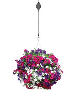 2 Stück Pflanzenrollen Haken Ampelaufzug Blumenampel Halte Einziehbare Hochleistungs Blumenkorb-Haken-Aufhänger für Gartenkörbe