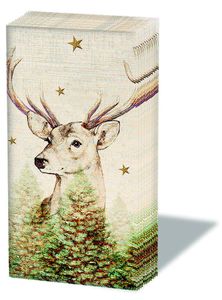Weihnachten - Taschentücher  21,5 x 22 cm – 4-lagig – 10 Stück