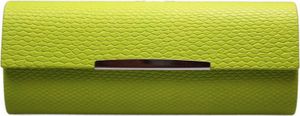 Hartschalen Etui von Optiker Dietrich in Giftgrüner Schlangenlederoptik