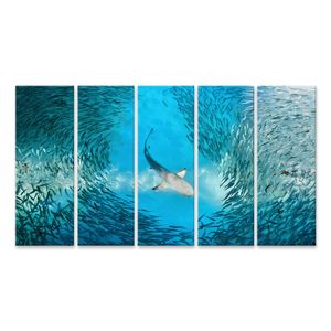 Bild auf Leinwand Hai und kleine Fische im Ozean Wandbild Poster Kunstdruck Bilder