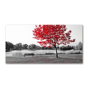 Tulup® Acrylglas - 120 x 60 cm - Wandkunst - Bild auf Plexiglas® Deko Wandbild hinter Kunststoff / Acrylglas Bild - Dekorative Wand für Küche & Wohnzimmer - Landschaften - Roter Baum - Rot