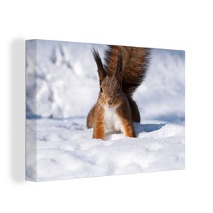 OneMillionCanvasses® Malba na plátně Nástěnná malba na plátně - Veverka - hlodavec - sníh - zima - 90x60cm