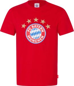 FC Bayern München Herren T-Shirt Logo rot 3XL