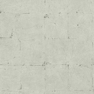 A.S. Création Vliestapete Best of Wood`n Stone 2nd Edition Tapete beige grau 10,05 m x 0,53 m 939921 93992-1