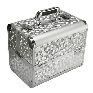 Kosmetický kufřík stříbrný CA4A (30,5x20,5x25cm)