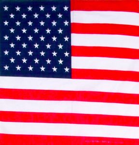 USA mit Indianerhäuptling Hissflagge amerikanische Fahnen Flaggen 60x90cm 