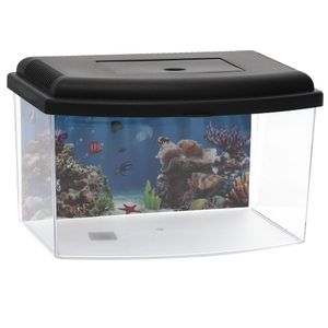 GarPet Mini Aquarium Terrarium Faunarium Zucht Becken klein Fisch Triops Garnelen Acryl Kunststoff Plastik mit Deckel Rückwandfolie