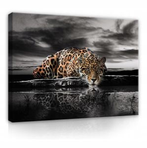 Leinwandbild Tiger Tiere Natur 120x80 cm XXL Modern Canvas Leinwand Bilder Leinwandbilder Wandbilder Kunstdruck Bild auf Leinwand Aufhängefertig