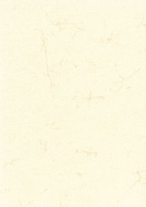 RNK Verlag 2863 Dokumentenpapier (Elefantenhautpapier), 110g/qm, weiß, DIN A4