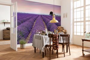 Komar Vlies Fototapete "Provence" - Größe: 400 x 260 cm (Breite x Höhe), 8 Bahnen
