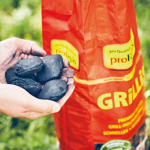 proFagus Grillis Premium bukové grilovacie brikety na drevené uhlie 2500g vrecko