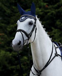 Passier Trense Juno Trensenzaum Schwarz/Edelstahl Warmblut Passier Trense Juno Trensenzaum Schwarz/Edelstahl Warmblut