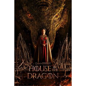 House Of The Dragon - Poster "Throne" PM4558 (Einheitsgröße) (Schwarz/Rot)