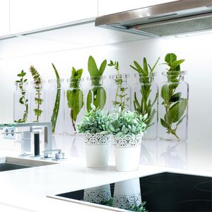 Küchenrückwand Kräuter Glas Premium Hart-PVC 0,4 mm selbstklebend - Direkt auf die Fliesen, Größe:120 x 51 cm