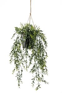 Emerald Kunstpflanze Buchsbaum Hängend in Topf 50 cm
