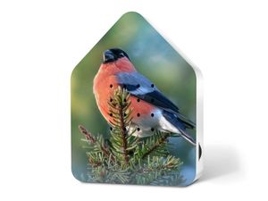 Relaxound Zwitscherbox Limited Edition Spring 25 Bullfink - Vogelgezwitscher Natursoundbox mit Bewegungsmelder Relaxound Zwitscherbox Limited Edition Spring 25 Bullfink - Vogelgezwitscher Natursoundbox mit Bewegungsmelder