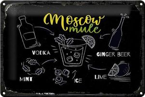 Blechschild Rezept Moscow Mule Ginger Beer Ice 30x20 cm Deko Schild tin sign