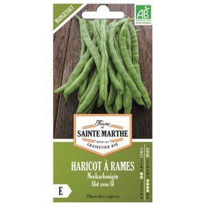 Bio-Mangetout-Bohnensamen - Sorte Neckarkonigin