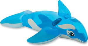 Reittier Kleiner Delfin 152cm mit Griff