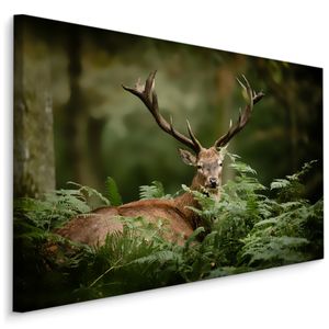 Fabelhafte Canvas LEINWAND BILDER 40x30 cm XXL Kunstdruck Wald Hirsch Grün Bäume