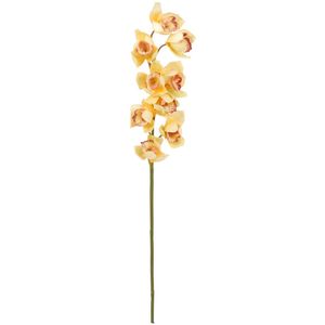 Orchidej větvička, žlutá, 90 cm