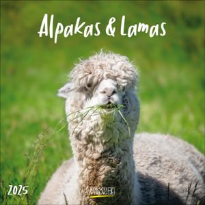 Alpakas und Lamas 2025 Alpakas und Lamas 2025